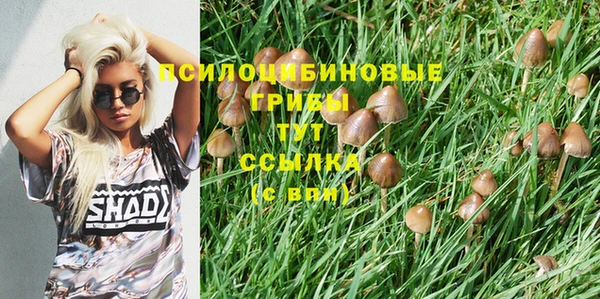 прущие грибы Майский