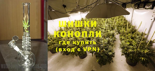 прущие грибы Майский