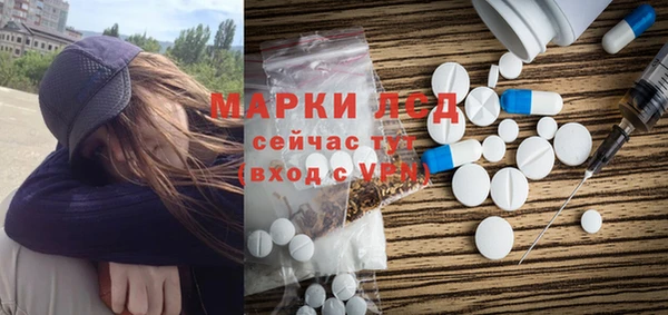 прущие грибы Майский
