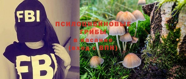 прущие грибы Майский