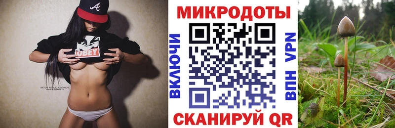 площадка телеграм дарнет шоп Советский Галлюциногенные грибы прущие грибы